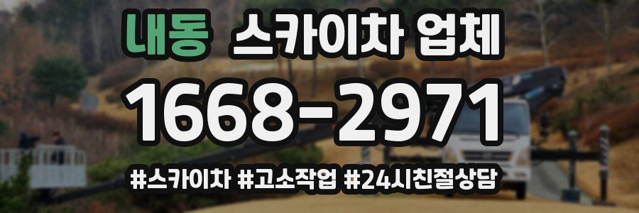 내동 스카이차 업체