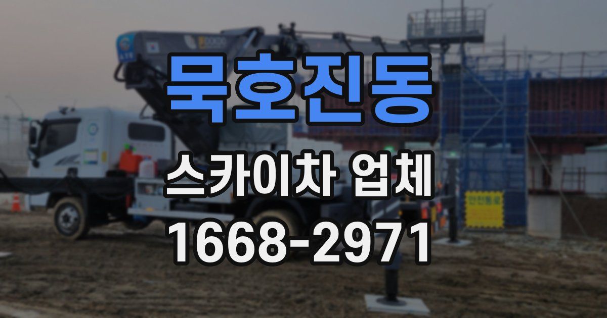 묵호진동 스카이차 업체