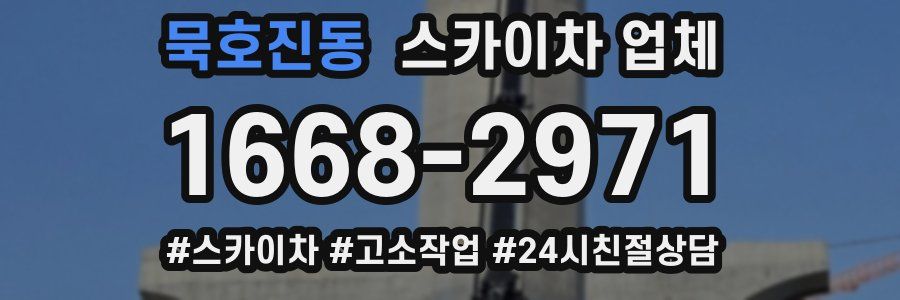 묵호진동 스카이차 업체