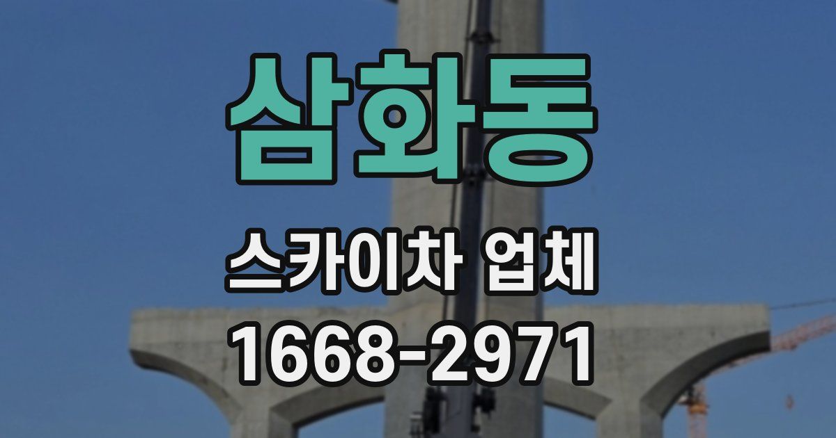 삼화동 스카이차 업체