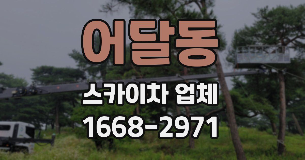 어달동 스카이차 업체