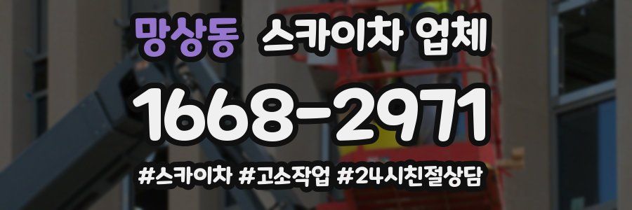 망상동 스카이차 업체