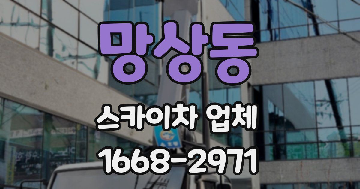 망상동 스카이차 업체