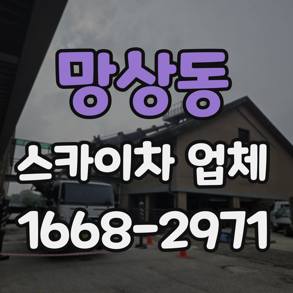 망상동 스카이차 업체
