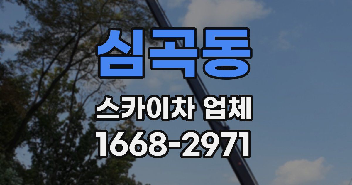 심곡동 스카이차 업체