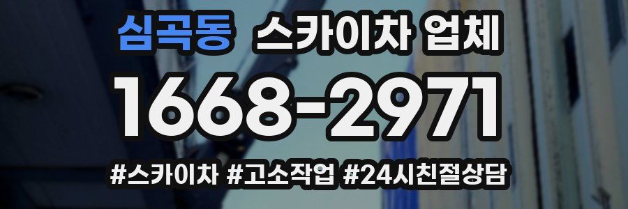 심곡동 스카이차 업체