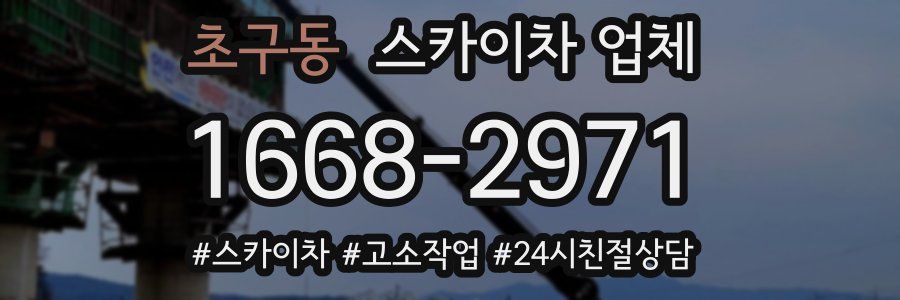 초구동 스카이차 업체