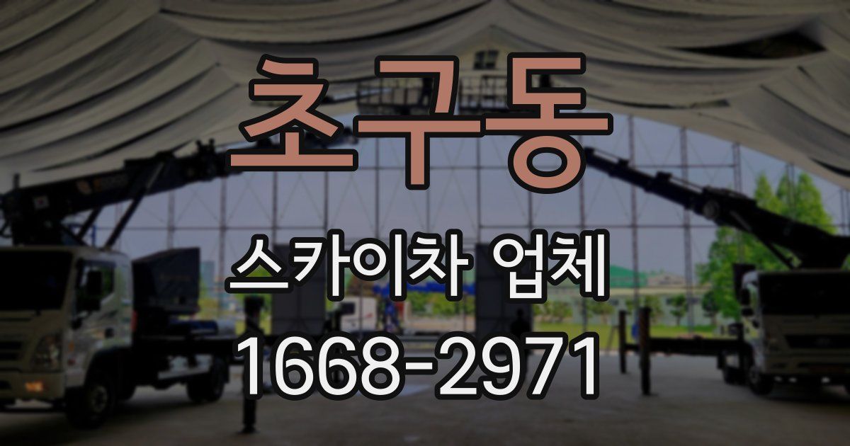 초구동 스카이차 업체