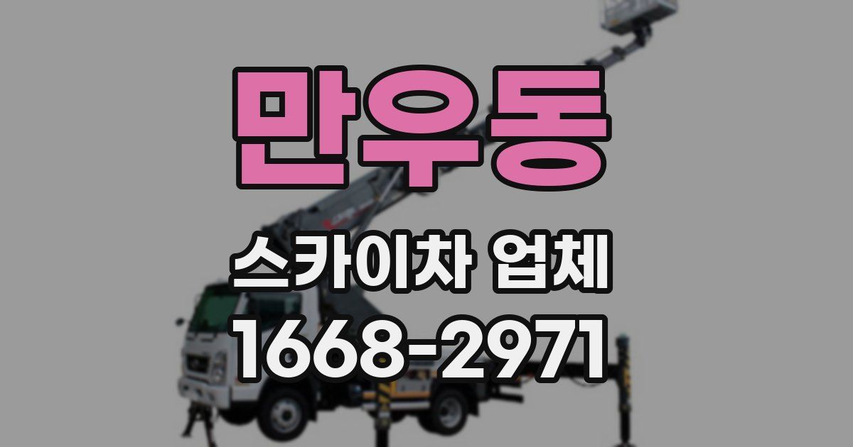 만우동 스카이차 업체