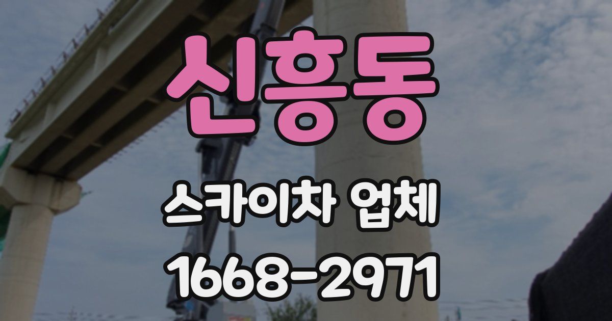 신흥동 스카이차 업체
