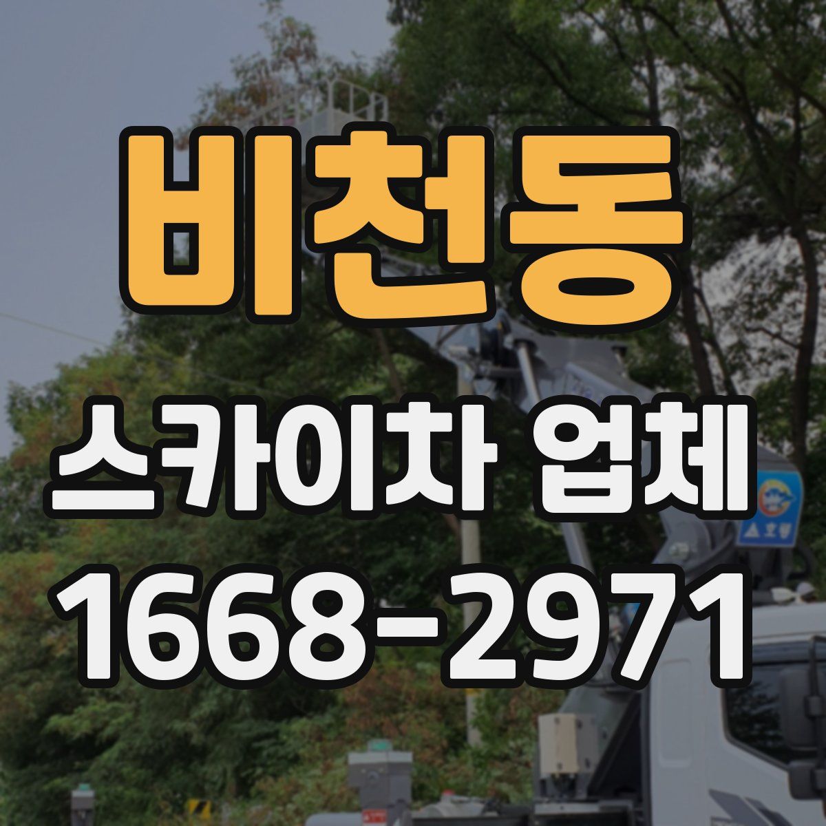 비천동 스카이차 업체