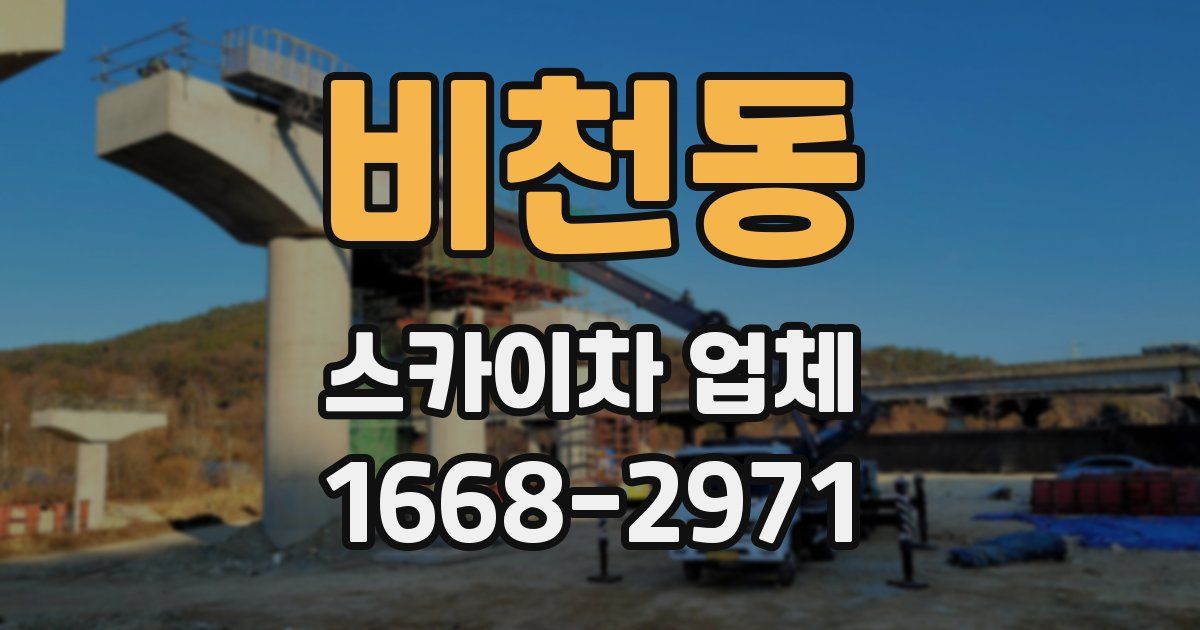 비천동 스카이차 업체