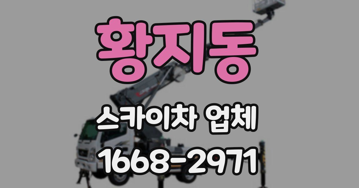 황지동 스카이차 업체