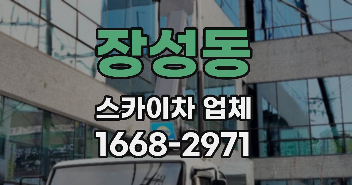 장성동 스카이차 업체