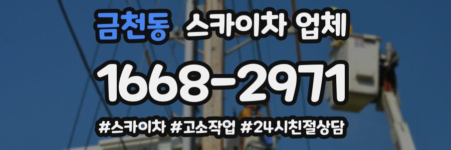 금천동 스카이차 업체