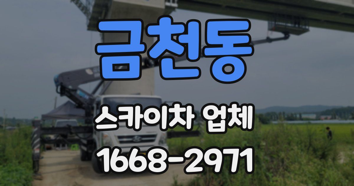 금천동 스카이차 업체