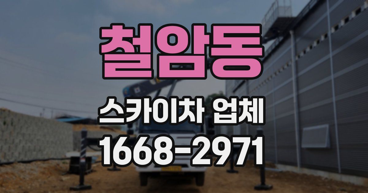 철암동 스카이차 업체