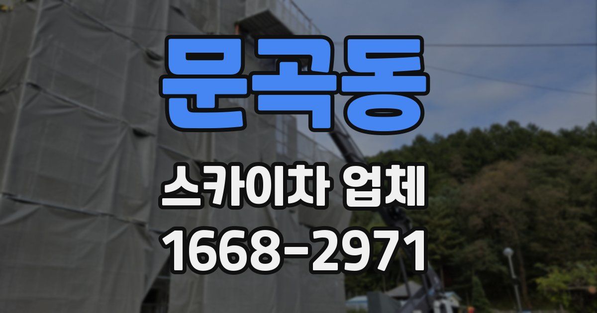 문곡동 스카이차 업체
