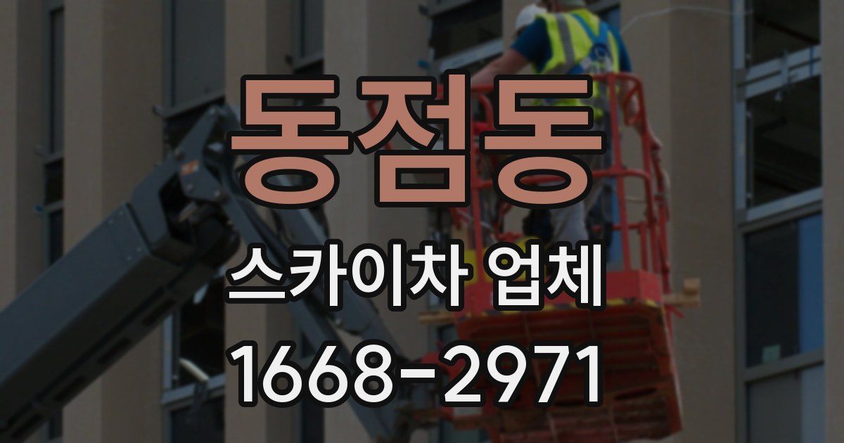 동점동 스카이차 업체