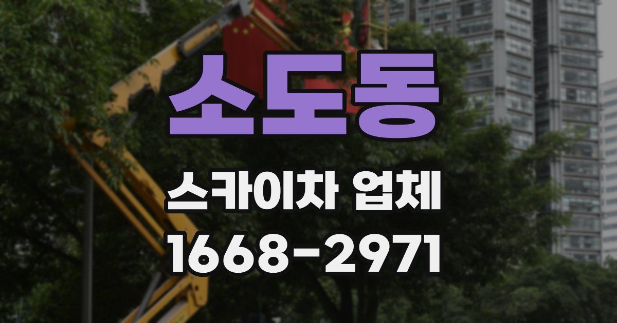 소도동 스카이차 업체