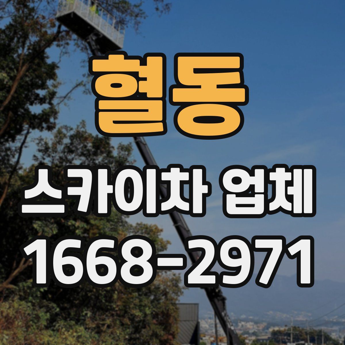 혈동 스카이차 업체