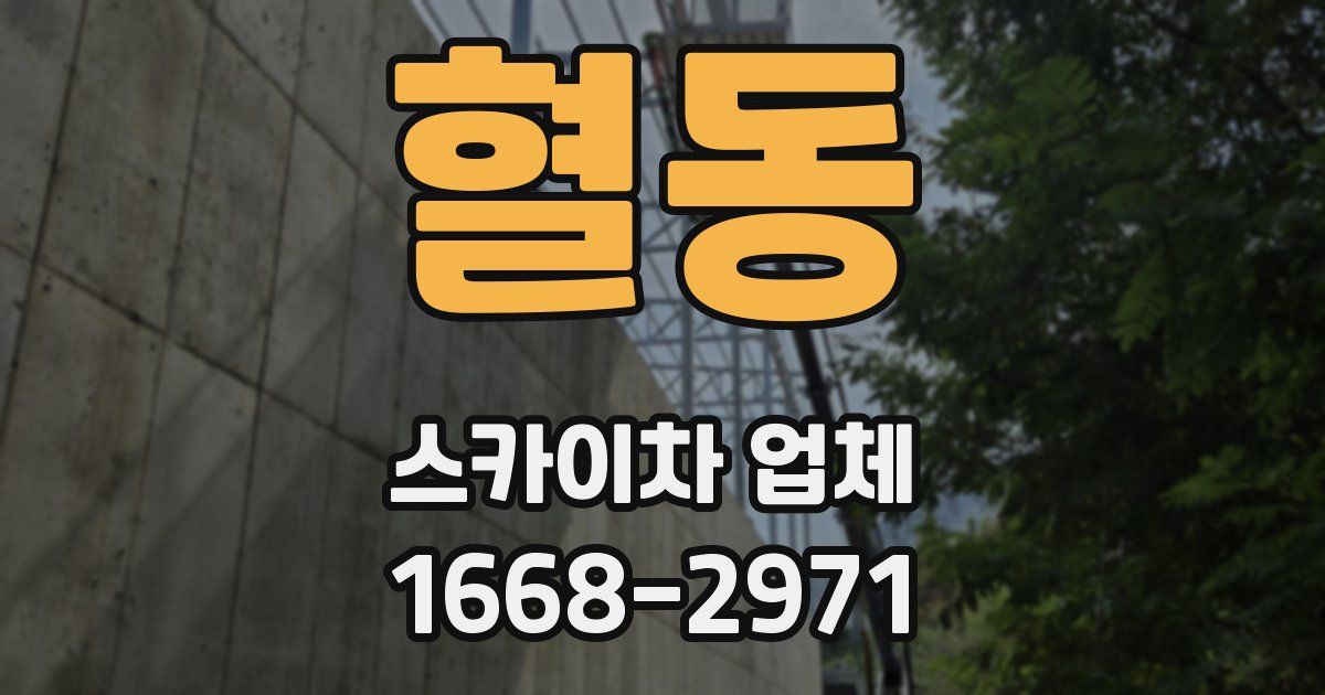 혈동 스카이차 업체