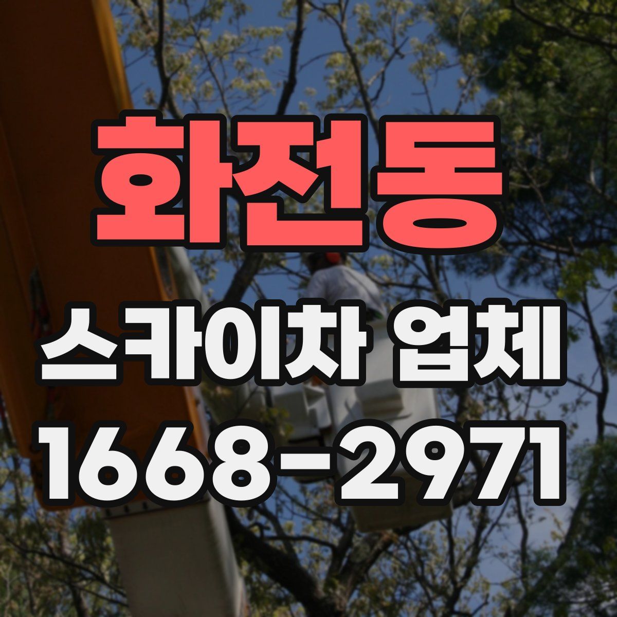 화전동 스카이차 업체