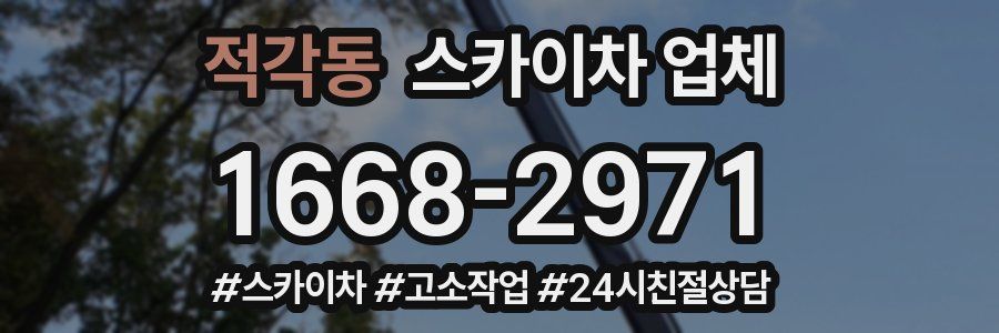 적각동 스카이차 업체