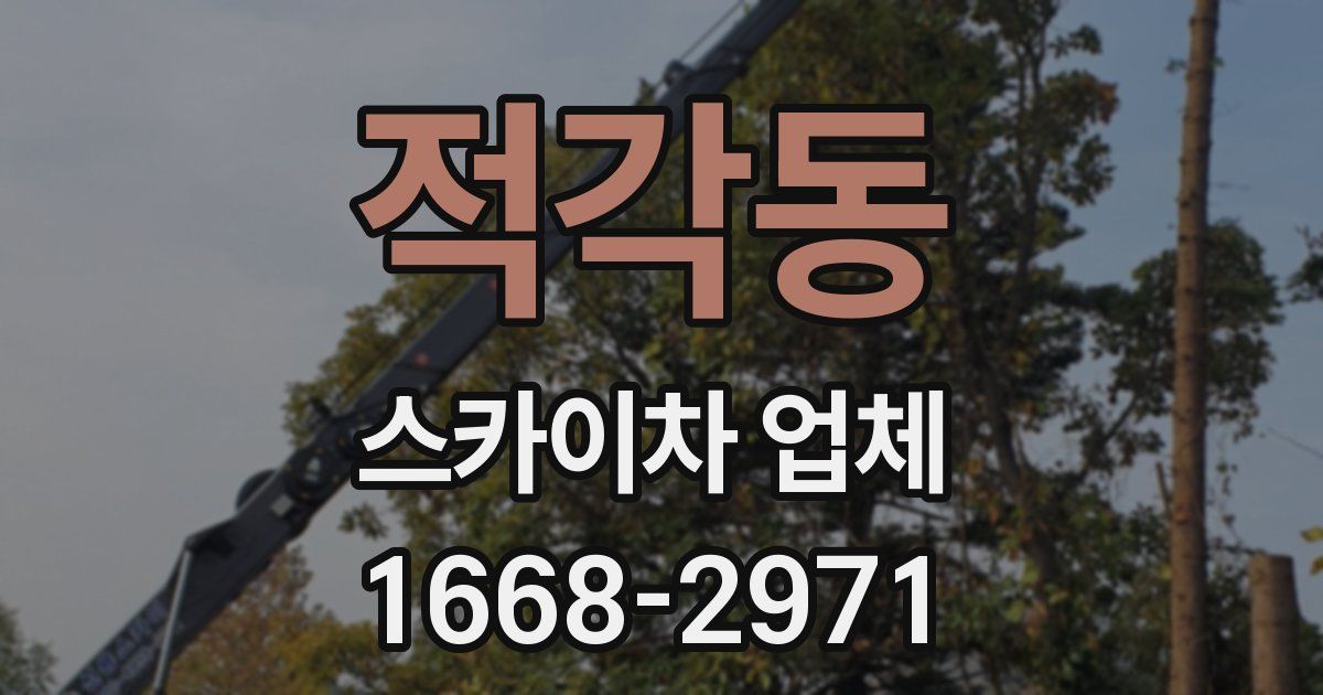 적각동 스카이차 업체