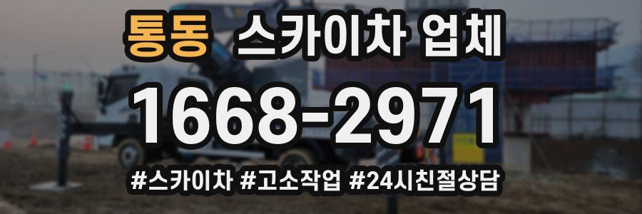 통동 스카이차 업체