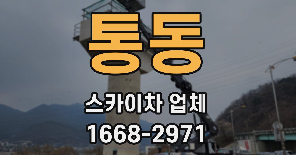 통동 스카이차 업체
