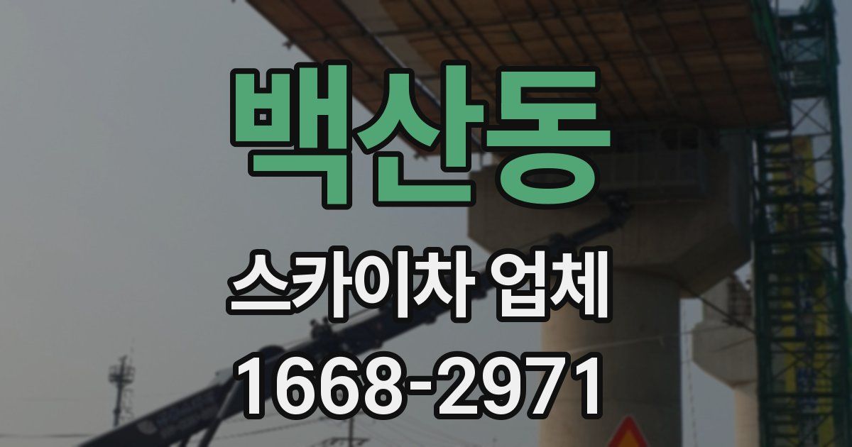 백산동 스카이차 업체