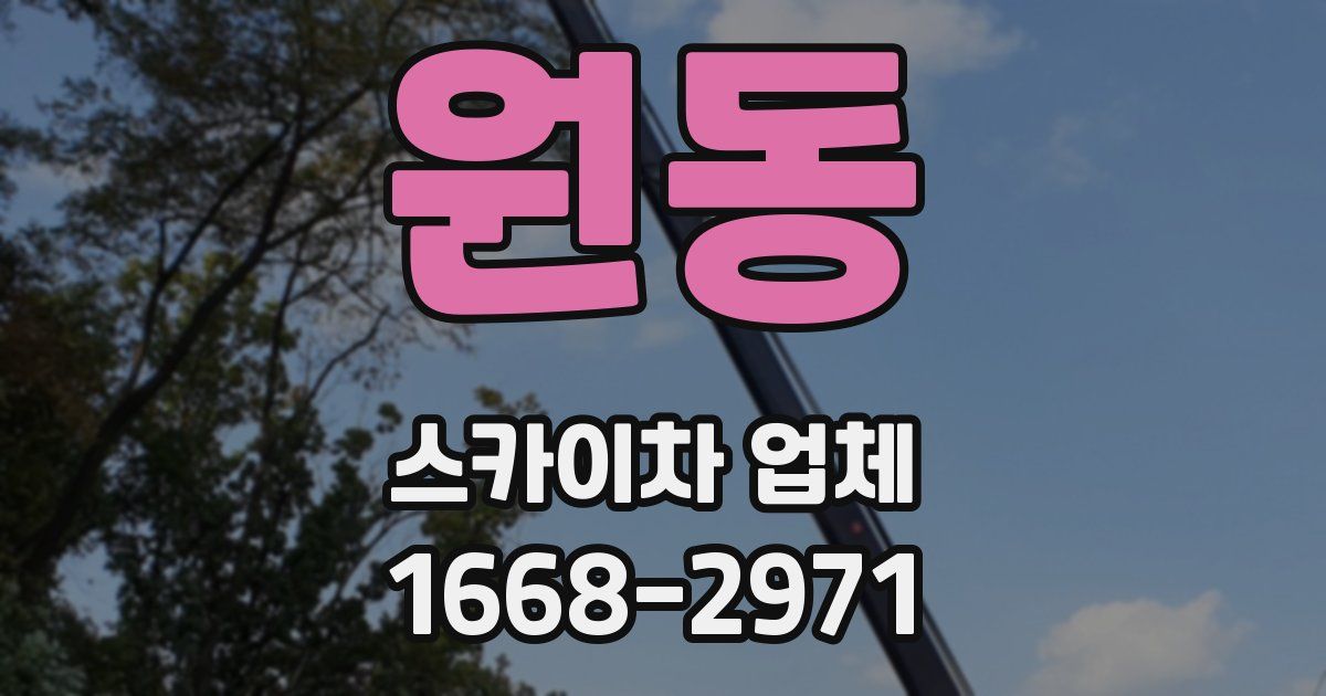 원동 스카이차 업체