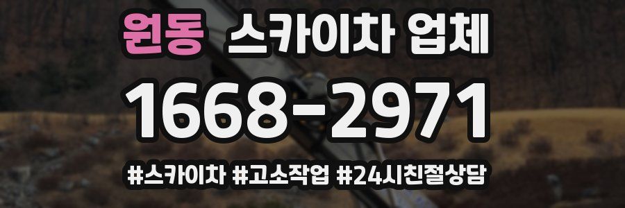 원동 스카이차 업체