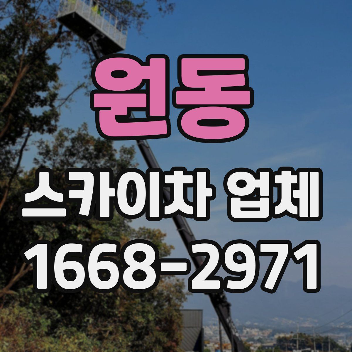 원동 스카이차 업체