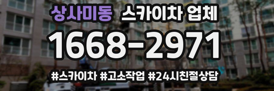 상사미동 스카이차 업체