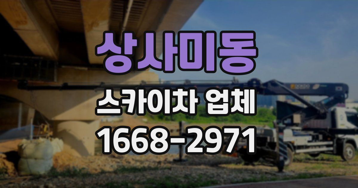 상사미동 스카이차 업체