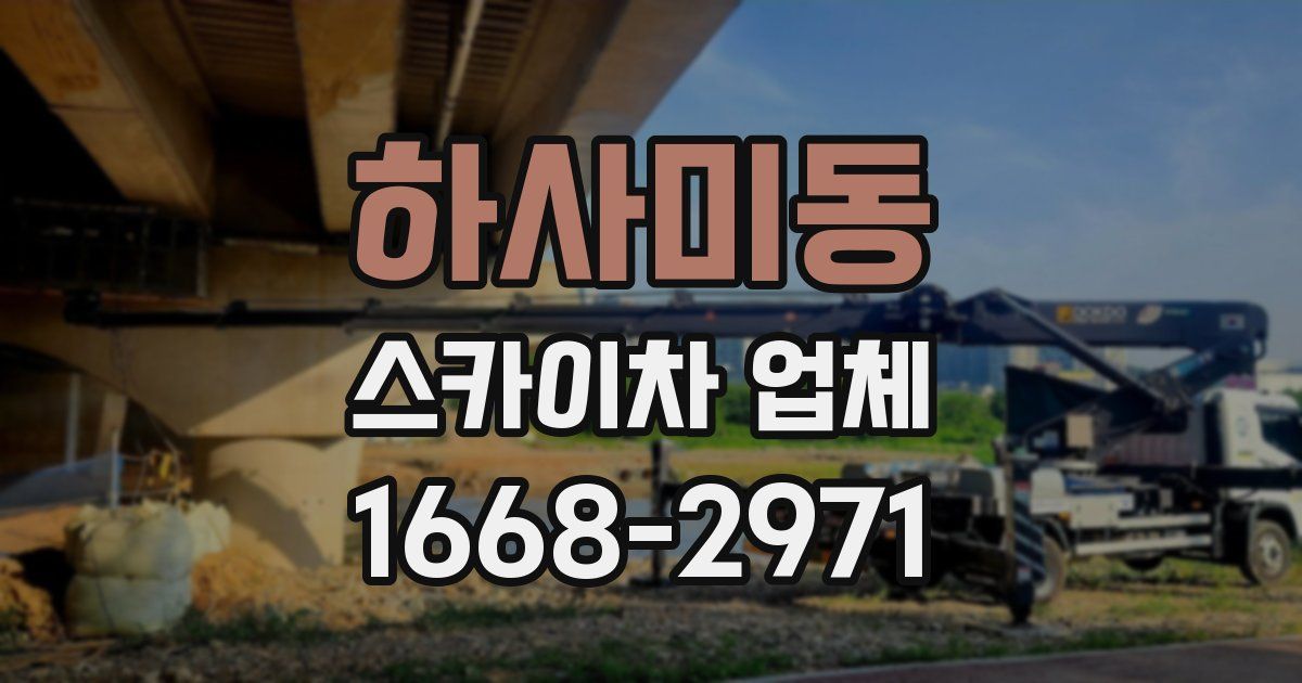 하사미동 스카이차 업체