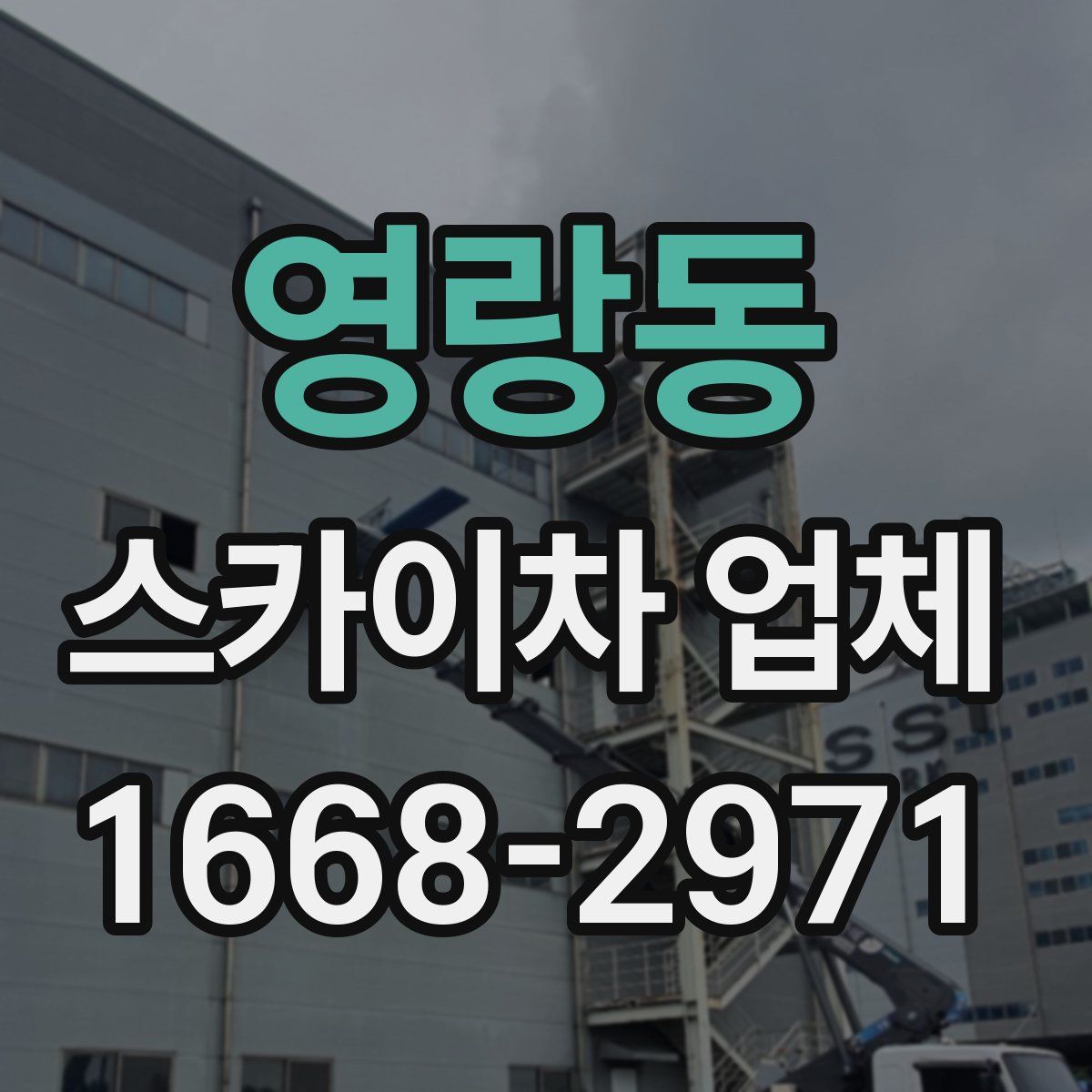 영랑동 스카이차 업체
