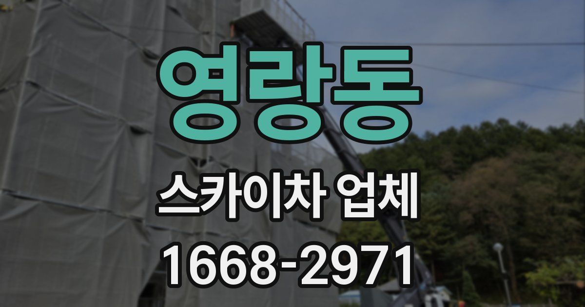 영랑동 스카이차 업체