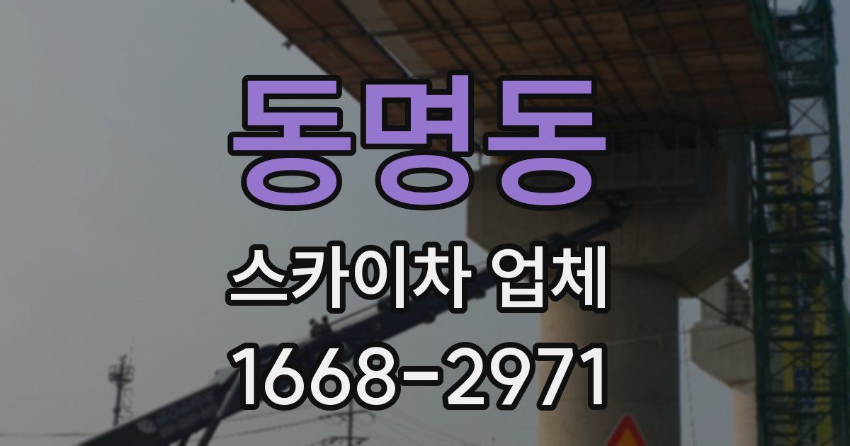 동명동 스카이차 업체