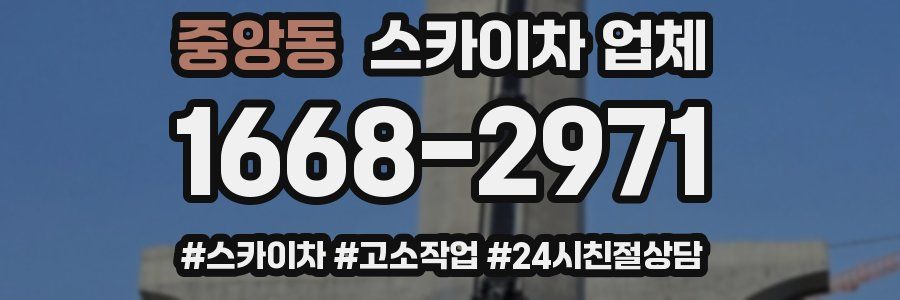 중앙동 스카이차 업체