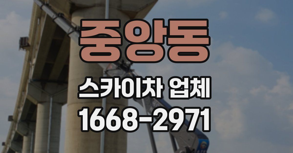 중앙동 스카이차 업체