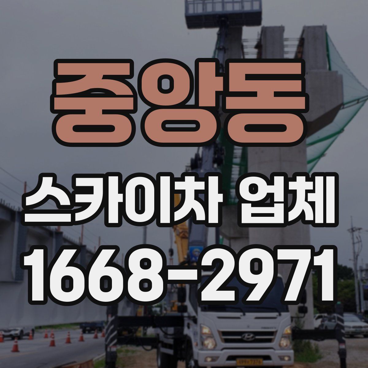 중앙동 스카이차 업체