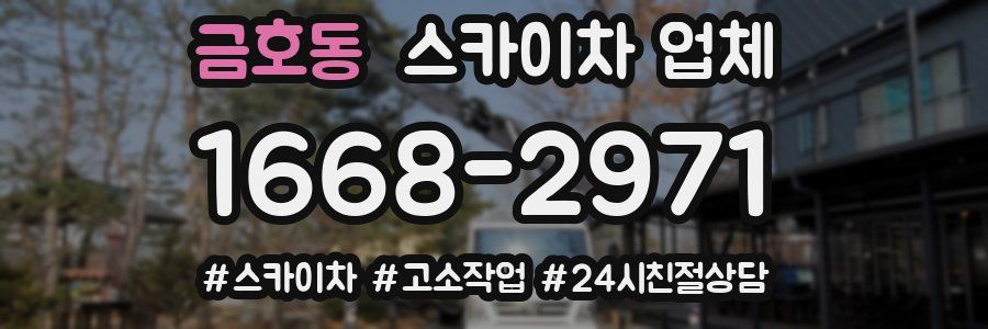 금호동 스카이차 업체