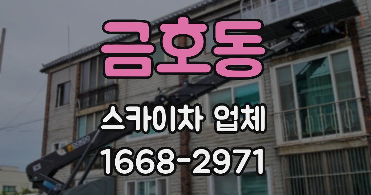 금호동 스카이차 업체