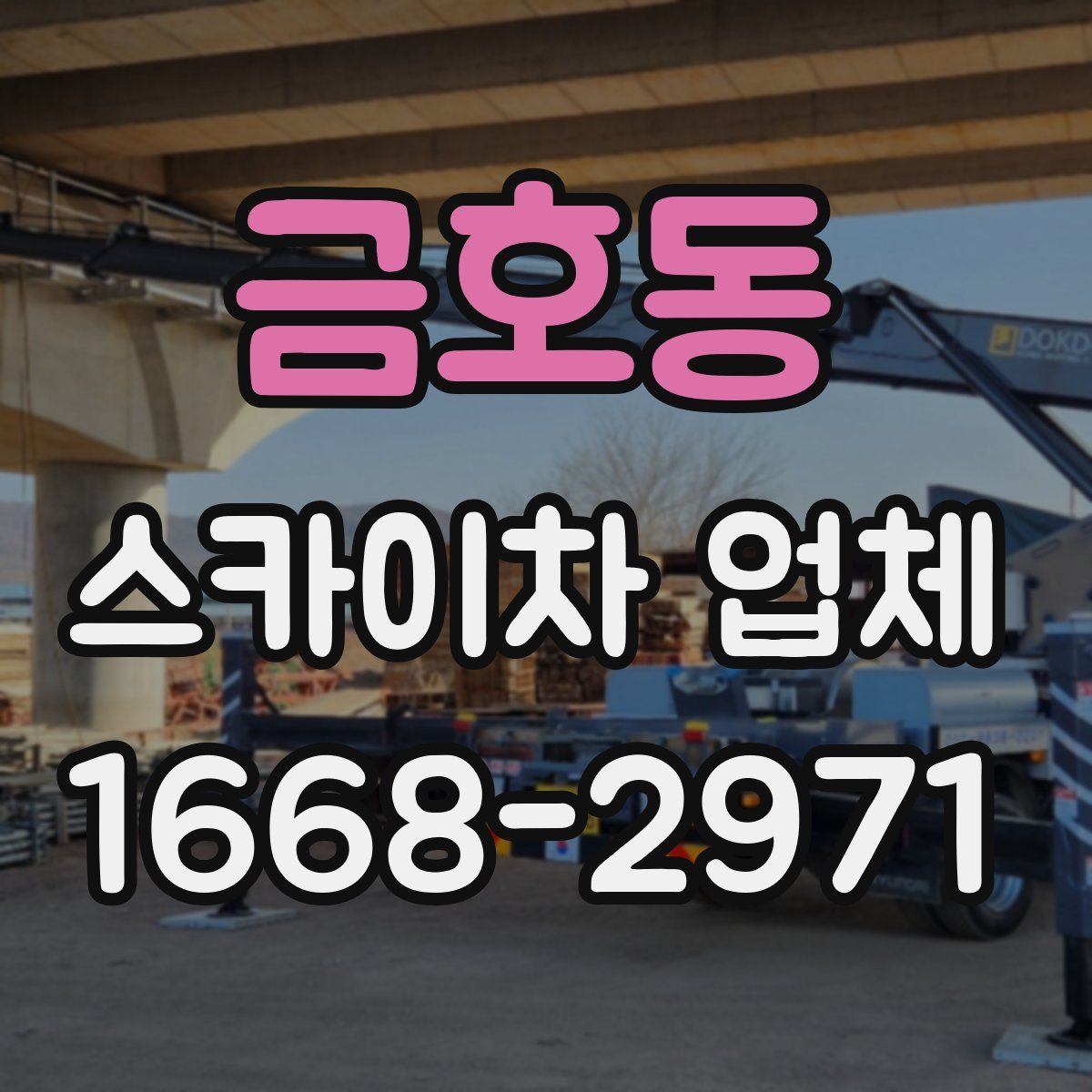 금호동 스카이차 업체