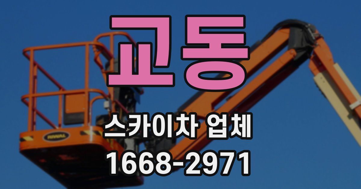교동 스카이차 업체