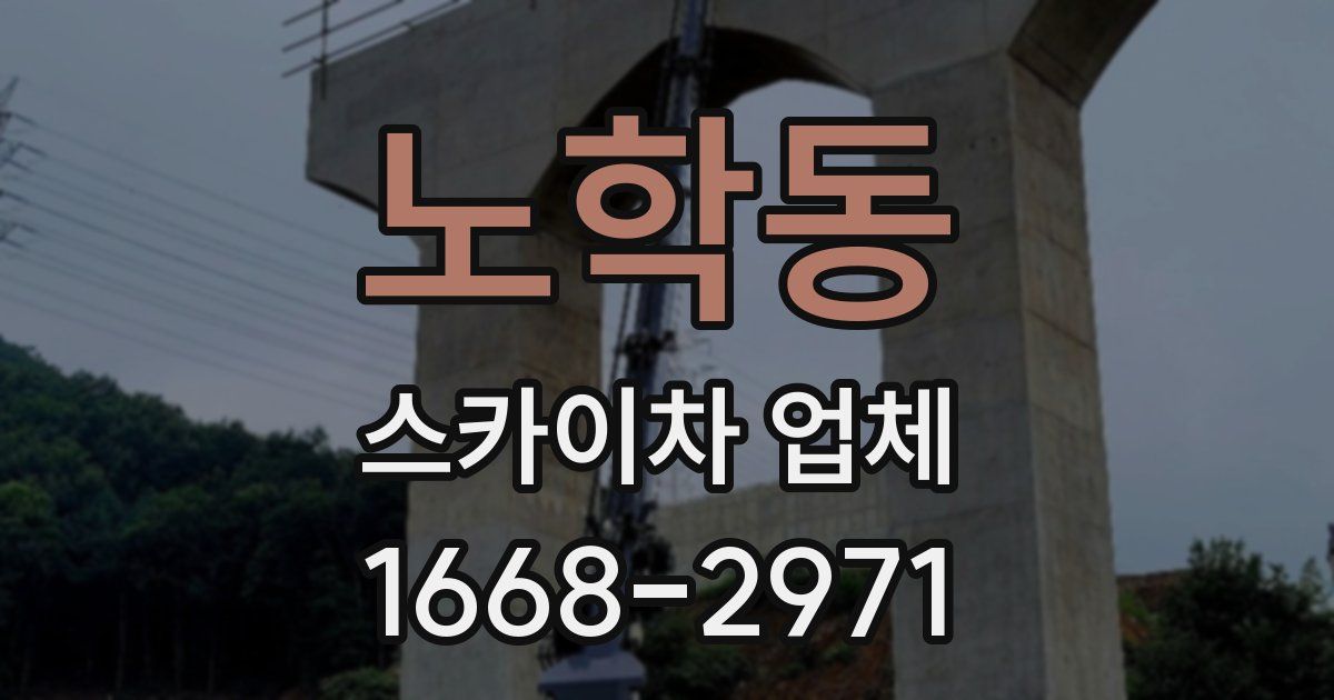노학동 스카이차 업체