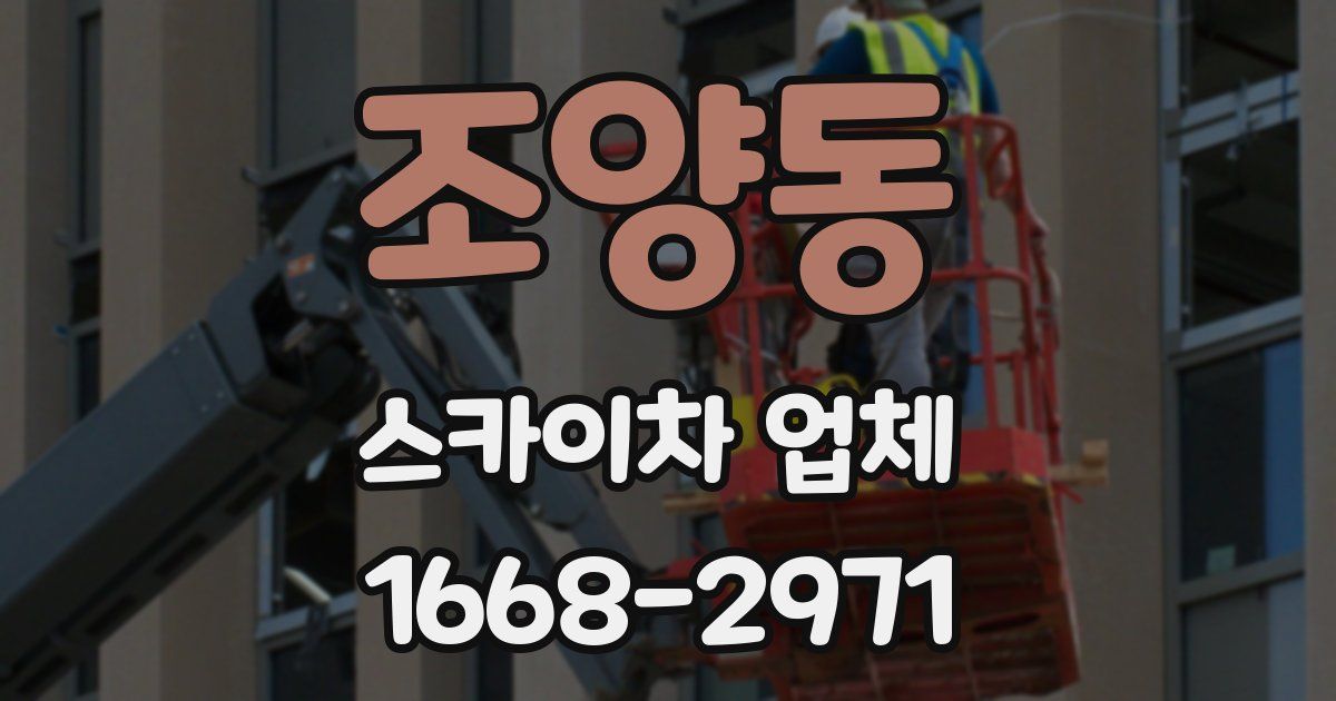 조양동 스카이차 업체